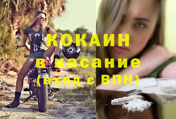 прущие грибы Березники