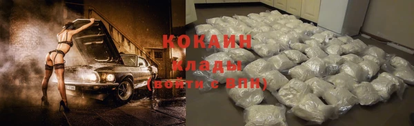 прущие грибы Березники