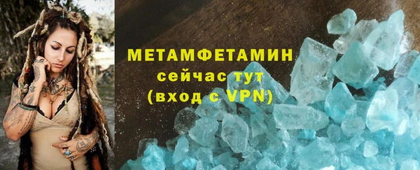 прущие грибы Березники
