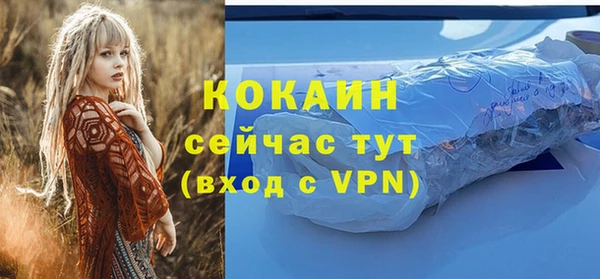 прущие грибы Березники